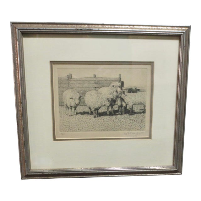 Sheep Etching by Jim Pollard Dated 81 For Sale