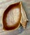 Mid-Century Modern Vintage Carved Wood Shell Bowl For Sale - Image 3 of 16