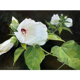 White Hibiscus by Sheri Farabaugh | Oil Painting of white hibiscus flowers and green leaves For Sale