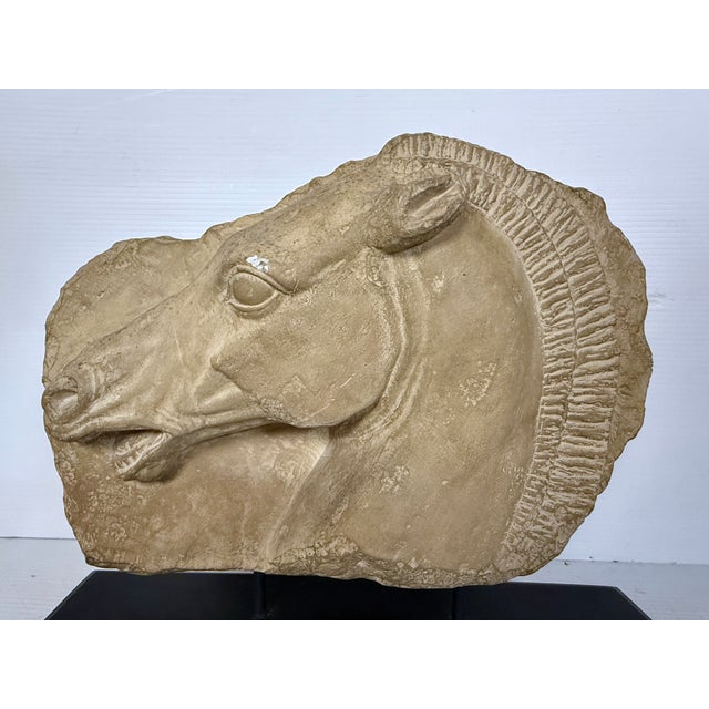 Mid 20th Century Horse Head Casted Sculpture For Sale - Image 10 of 12