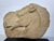 Mid 20th Century Horse Head Casted Sculpture For Sale - Image 10 of 12