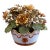 1970s Fleurs Des Siècles Enamel Flower Bouquet by Vista Alegre for Mottahedeh For Sale