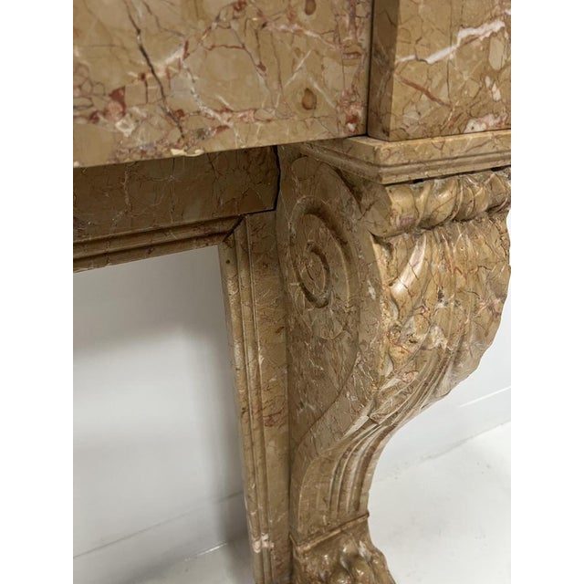 Napoleon III Fireplace with Claw Feet in Speckled Marble, 1800s For Sale - Image 12 of 18