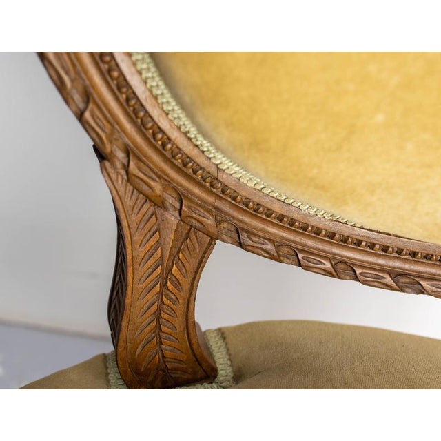 Set of Louis XVI French Open Armchairs Medallion Armdhairs, 1900s For Sale - Image 10 of 16