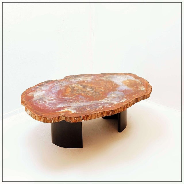 Red Arizona Petrified Wood Coffee Table For Sale - Image 9 of 16