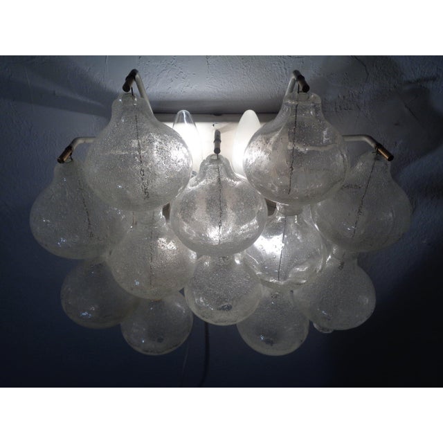1960s Tulip Sconce by J. T. Kalmar for Kalmar Franken KG, Austria, 1960s For Sale - Image 5 of 11