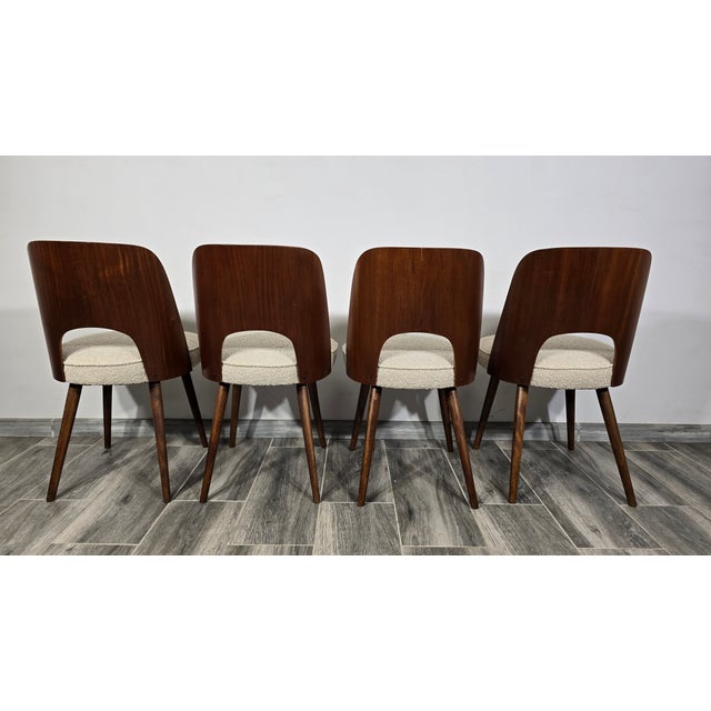 Dining Chairs from Oswald Haerdtl, 1950s, Set of 4 For Sale - Image 9 of 14