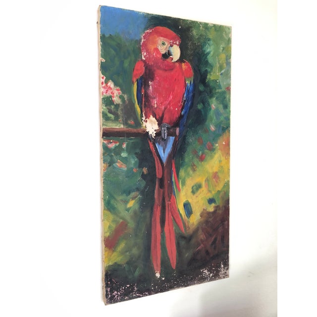 Up for your consideration is a stunning, highly vibrant original oil painting depicting a majestic Scarlet Macaw perched...