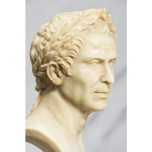 Vintage Roman Julius Caesar Man Bust Statue Classical Grand Tour Style Sculpture Home Decor For Sale - Image 11 of 14