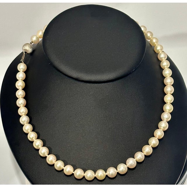 Vintage Cultured Akoya Pearl Necklace Length 18" , 18 Karat White Gold Clasp For Sale - Image 18 of 18