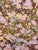 Rustic Kristy Stafford "Emily Rust" Floral Pillows- A Pair For Sale - Image 3 of 3