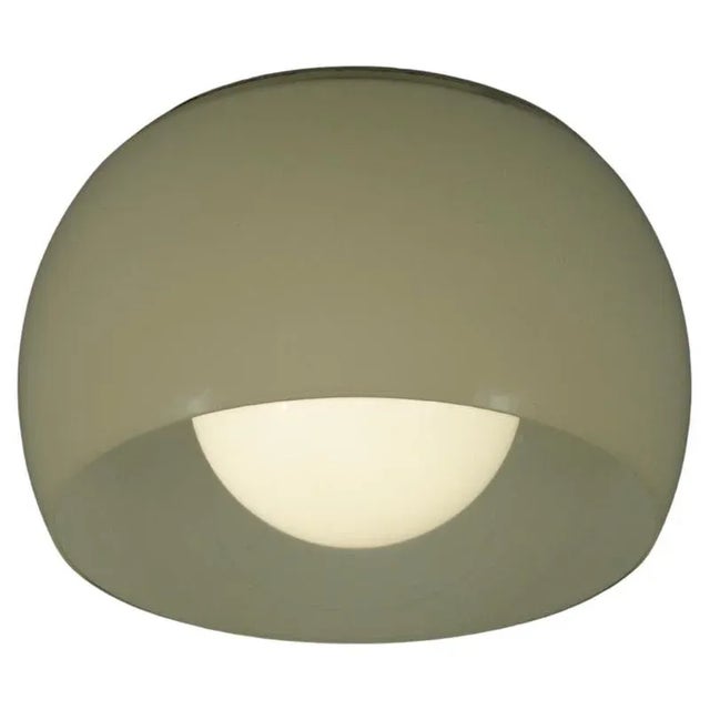 Omega Flush Mount by Vico Magistretti for Artemide, Italy, 1970s For Sale - Image 14 of 14