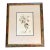 Dan Mitra “Evening Primrose” Hand-Colored Signed Etching (Limited Edition 84/950, Framed, Pencil Signed, Vintage) For Sale