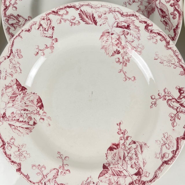Terre De Fer Dinner Plates from KG Lunéville, Set of 6 For Sale - Image 9 of 11