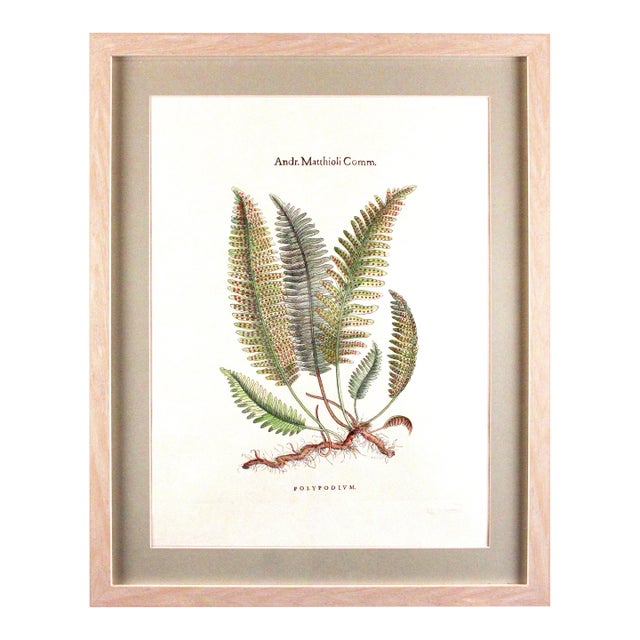 Original Custom Botanical Fern Prints with Makers Stamp For Sale