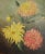 Early 20th C Oil Painting of Chrysanthemums For Sale In Los Angeles - Image 6 of 12