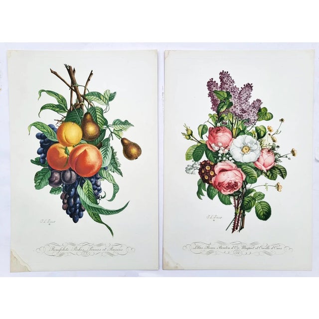 Early 20th Century Vintage French Portfolio Set of 14 Etching Plates Botanical Floral Engravings - Paris For Sale - Image 5 of 12