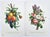 Early 20th Century Vintage French Portfolio Set of 14 Etching Plates Botanical Floral Engravings - Paris For Sale - Image 5 of 12