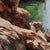 2020s Contemporary Summer Rocks and Sea Plein Air by Jon Doran | Oil on Panel Plein Air Sunlit Rocks and Sea For Sale - Image 5 of 9