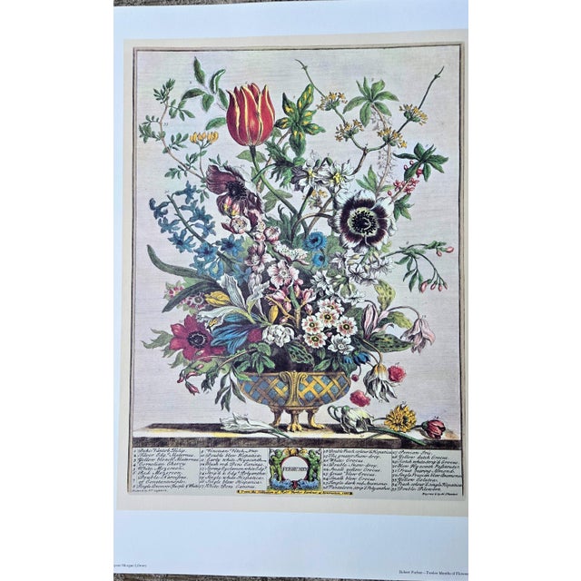 1980s Vintage Robert Furber February Botanical From "Twelve Months of Flowers” Pierpont Morgan Library Print For Sale - Image 9 of 12