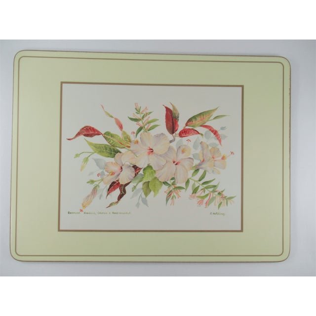 Vintage Pimpernel Placemats Hibiscus Cork Back Original Boxes Made in England Set of 8 Chairish