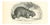 Paul Gervais, Marmot des Alpes, 1854, Lithograph For Sale