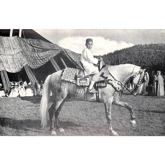 "The Beauty of Morocco an Introduction and a Guide" 1953 Landau, Rom For Sale - Image 4 of 9