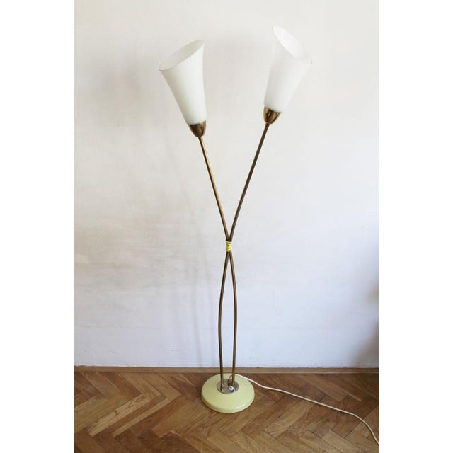 Mid-Century Modern Sculptural Brass and Milk Glass Floor Lamp, Former Czechoslovakia, 1960s For Sale - Image 3 of 15