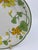 Green Villeroy and Boch Geranium Bread and Butter Small Plates - A Set of 9 For Sale - Image 8 of 8