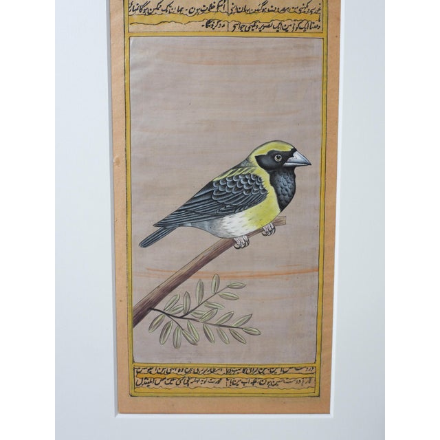 Indian Late 20th Century Mughal Style Miniature Goldfinch Bird Painting For Sale - Image 3 of 3