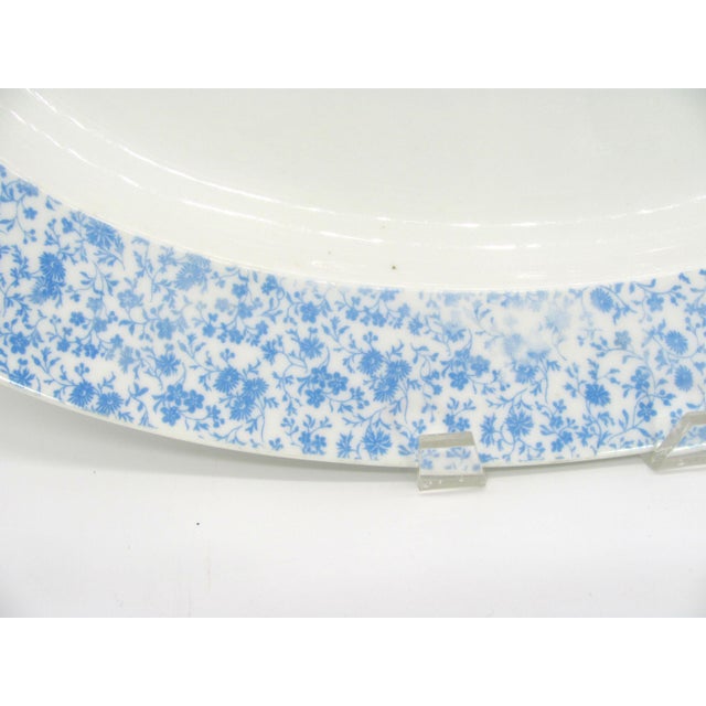 Early 20th Century Antique France 18.75" Limoges Blue Chintz Cornflower Calico Micro-Flower Floral Transferware Deep Well Platter For Sale - Image 5 of 9