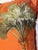 1970s Tropical Palm Beach 35” Ochre Pillows With Fringes For Sale - Image 5 of 8