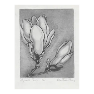 1950s Helen Ramey Magnolia Buds Etching