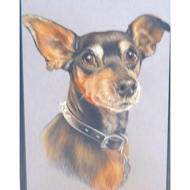 2020s Portrait of a Dog - "My Fur Kid" - Artist Signed, a Bright Addition to Any Decor! For Sale - Image 5 of 10