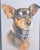 2020s Portrait of a Dog - "My Fur Kid" - Artist Signed, a Bright Addition to Any Decor! For Sale - Image 5 of 10