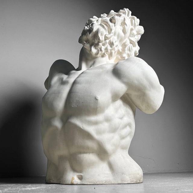 Sculpture Materials Plaster Bust of Laocoön, 1960s For Sale - Image 7 of 18