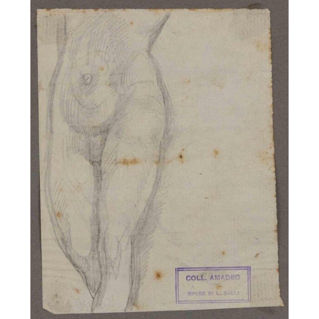 Anatomical studies is an original artwork realized by Luigi Galli in the late 19th Century. Pencil drawing on paper. The...