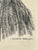 Mid Century Charcoal Portrait by Kenneth Goss c.1966 For Sale - Image 9 of 12