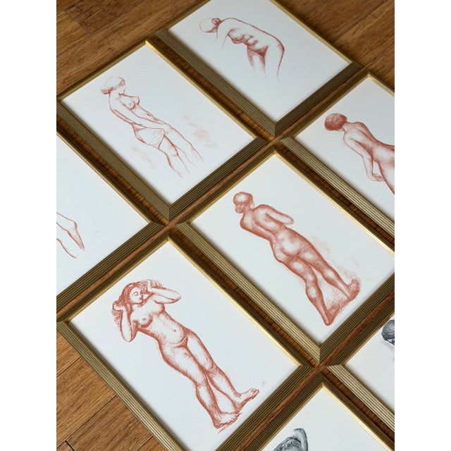 Mid 20th Century Suite of Twelve Aristide Maillol Lithographs For Sale - Image 6 of 10