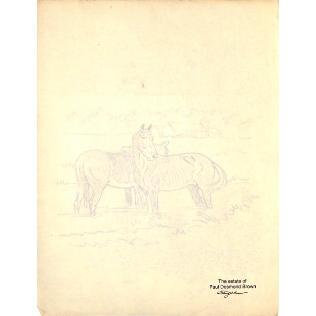 Traditional Original 1944 Pencil Drawing From Hi, Guy! The Cinderella Horse by Paul Brown 17 For Sale - Image 3 of 6