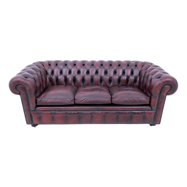 Mid-Century Chesterfield Sofa, Western Europe, 1950s For Sale