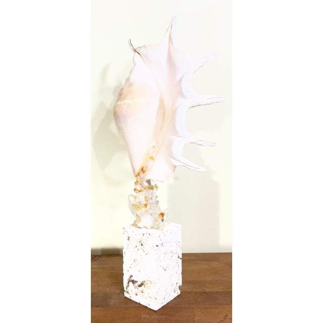Exquisite Fine Art Shell & Crystal Sculpture by Joseph Malekan For Sale - Image 9 of 15