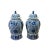 Chinese Pair of Chinese Blue White Porcelain Flower Bird Graphic Temple Jars For Sale - Image 3 of 5