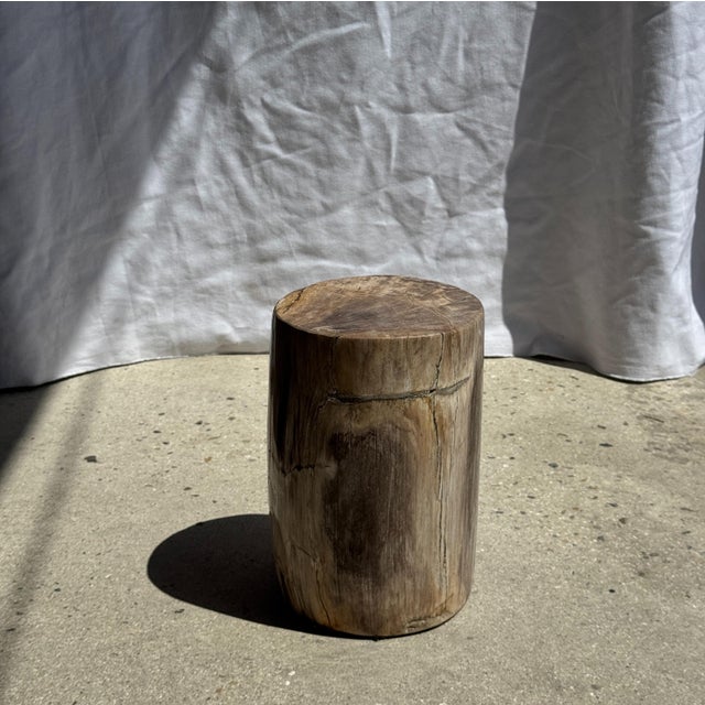 Small Side Table in Beige-Grey and Petrified Wood, 1980s For Sale - Image 9 of 18