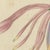 Bertuch, Purple Coneflower Echinacea, 1810, Print For Sale - Image 6 of 12