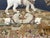 Wood Diorama with Dogs, 1840, Cotton, Framed For Sale - Image 7 of 12
