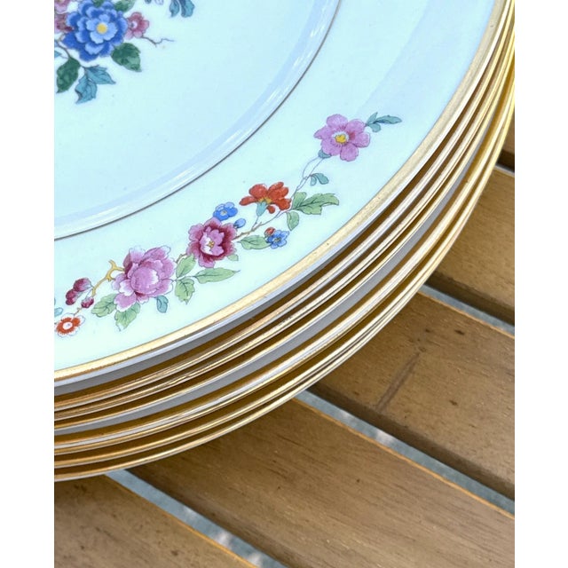 Mid 20th Century Mid Century Lamberton China Audubon Collection - Bird of Paradise - 8 Dinner Plates For Sale - Image 5 of 13