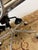Metal Charles + Ray Eames for Herman Miller Eames Soft Pad Office Chair For Sale - Image 7 of 12