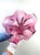 Large Pink Art Glass Bowl by Josef Hospodka for Chřibská, Czechoslovakia, 1960s For Sale - Image 6 of 7