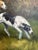 Late 20th Century Fox Hunting Scene Oil Painting on Canvas Horses Hounds Equestrian Sporting Art For Sale - Image 4 of 13